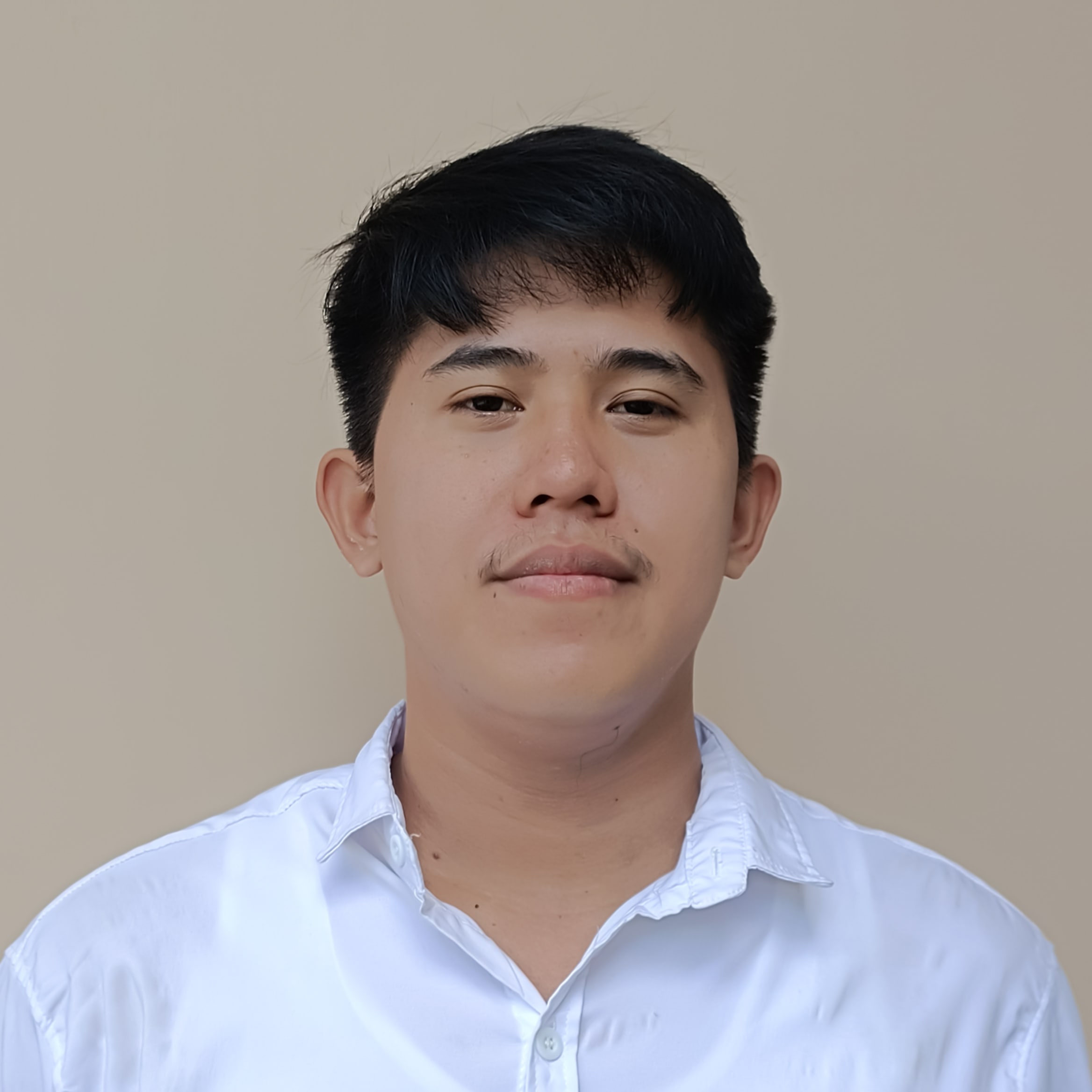 Denmark S. Cube - Professional Developer